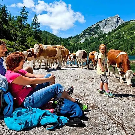 Hotel Ausseerland 3*