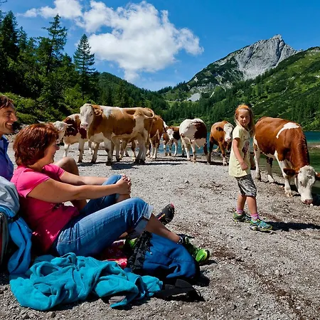 酒店 奥赛兰德酒店